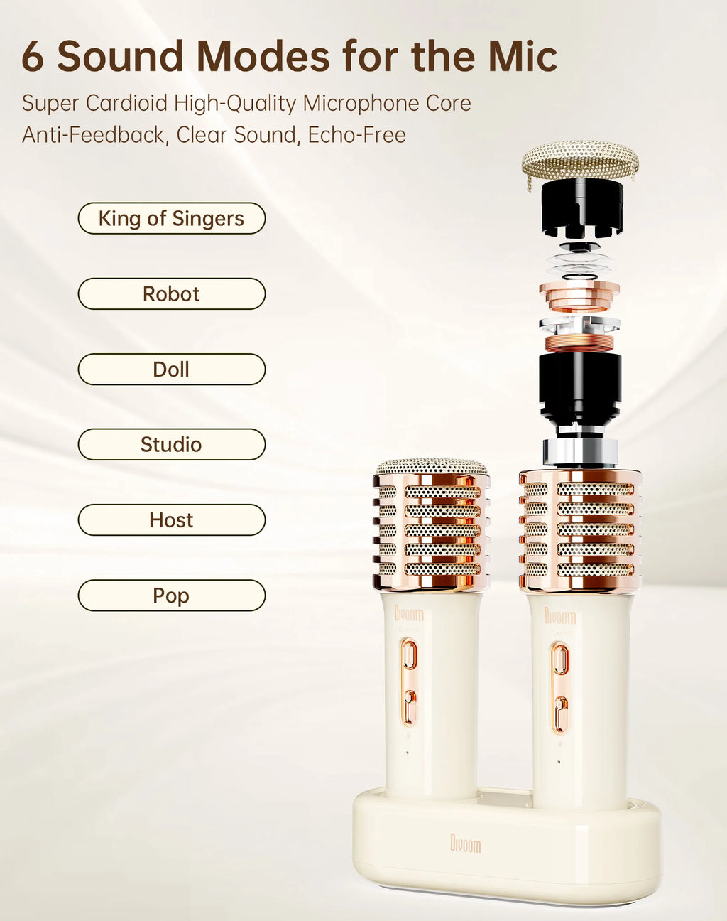 Divoom SongBird-HQ Portable Bluetooth Speaker Home Home Ktv Sound Set Home Karaoke Speakers Microphone Karaoke Microphone